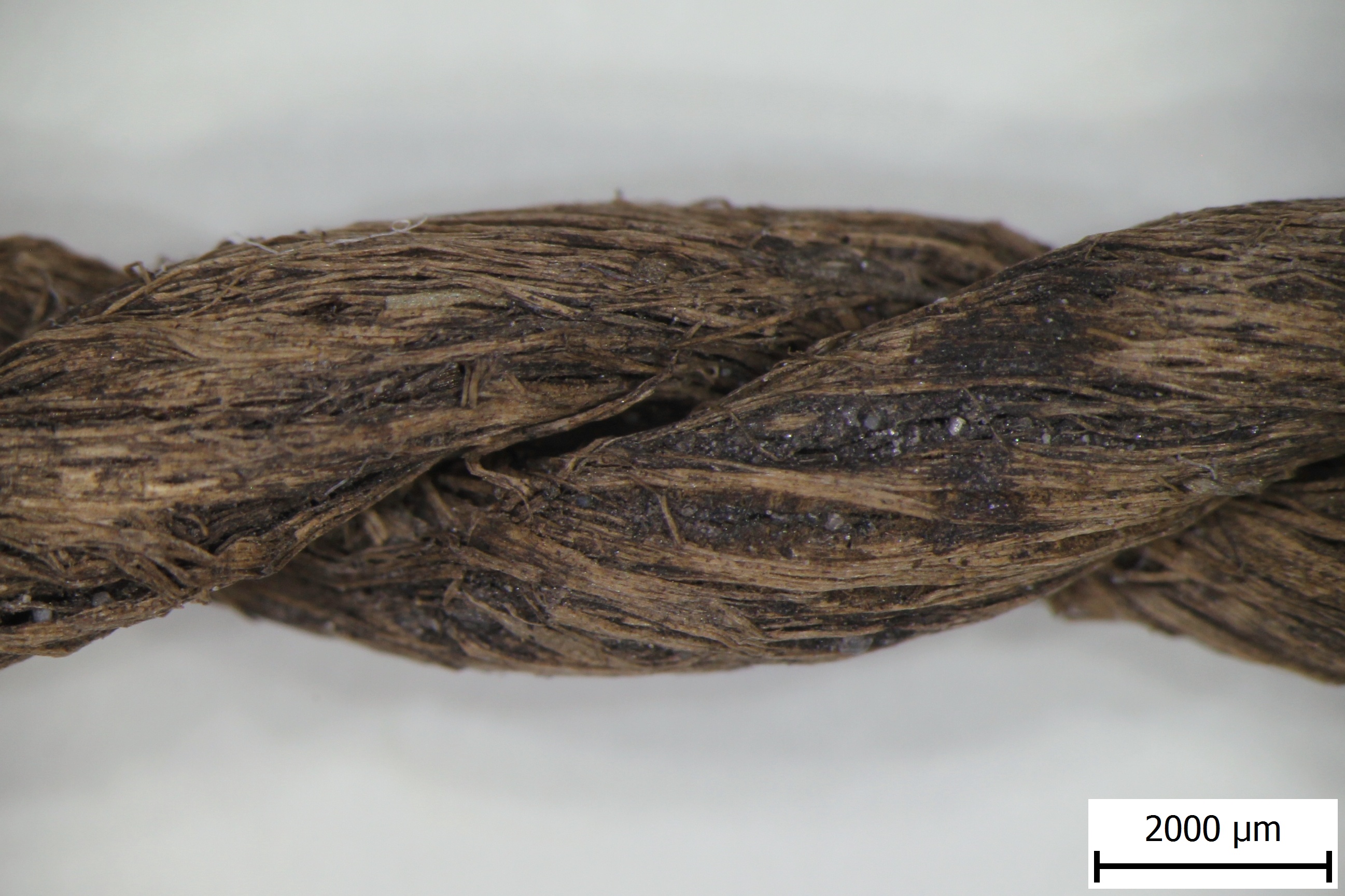 Detail neolitického provázku po konzervaci // Detail of neolithic string after conservation. Foto VŠCHT