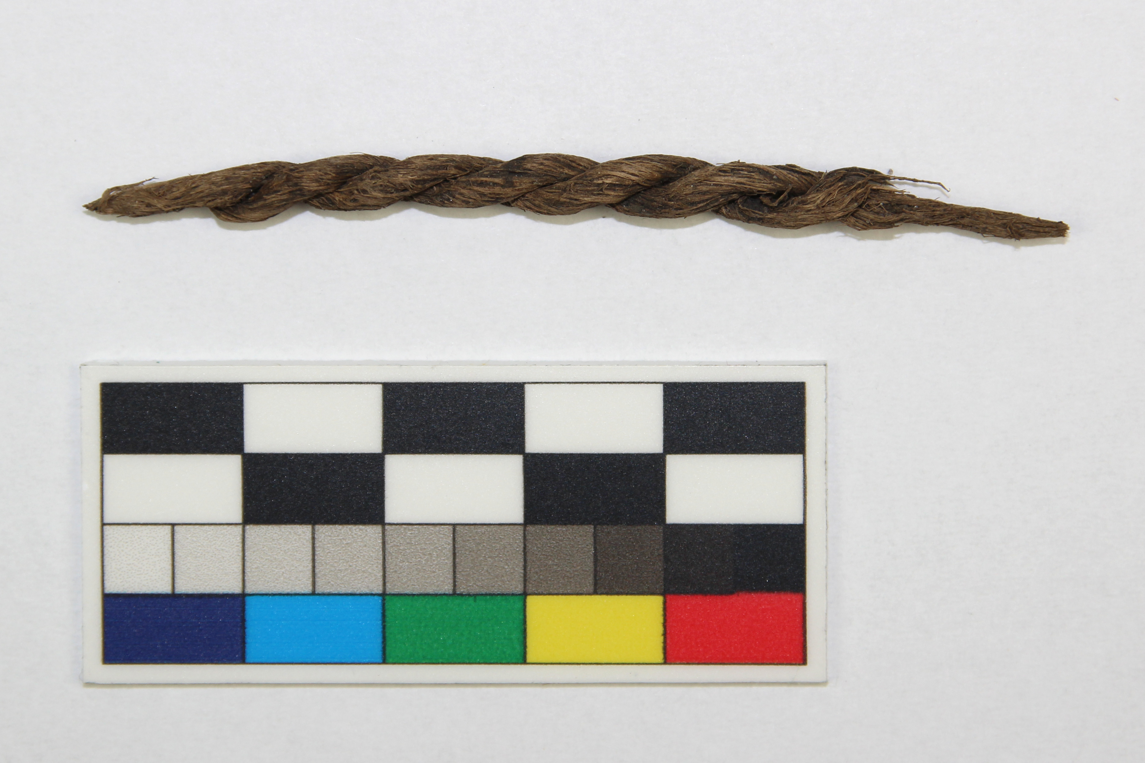 Neolitický provázek z Velimi // Neolithic string from Velim. Foto VŠCHT