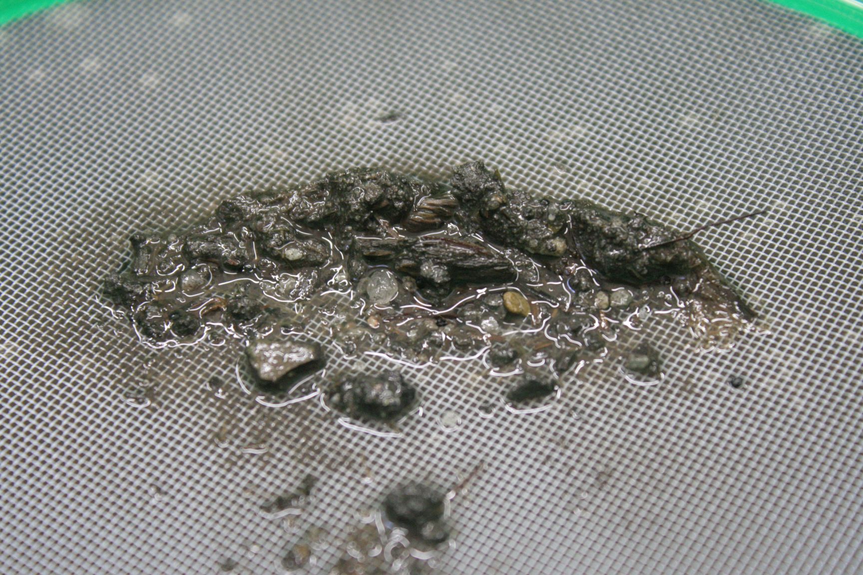 Neolitický provázek před očištěním // Neolithic finding before cleaning. Foto VŠCHT
